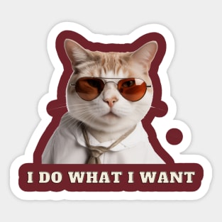 I Do What I Want Sticker